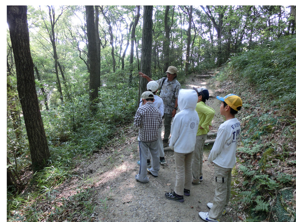 飛び級特進スクールFIT淡路島徳島