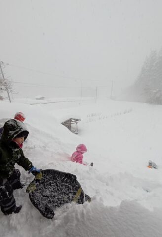 吹雪にも負けずそり遊びするこども