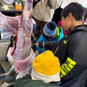 25603EFA-8A29-48CD-9FC0-750687938836