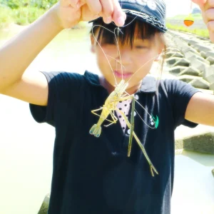 ファイル_000 (3) エビ釣り